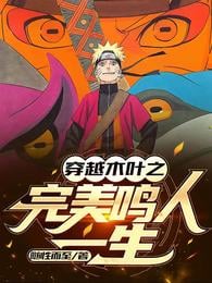 The Perfect Life of Naruto Through Konoha